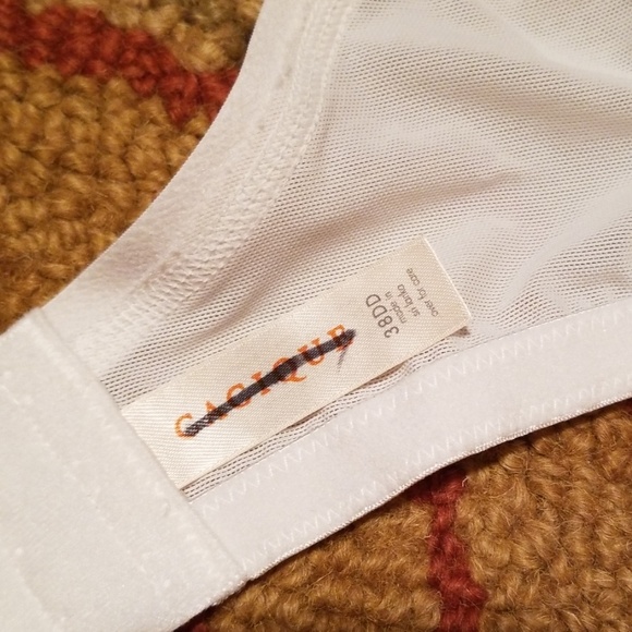 Lane Bryant Cacique 38DD UW - Picture 2 of 8